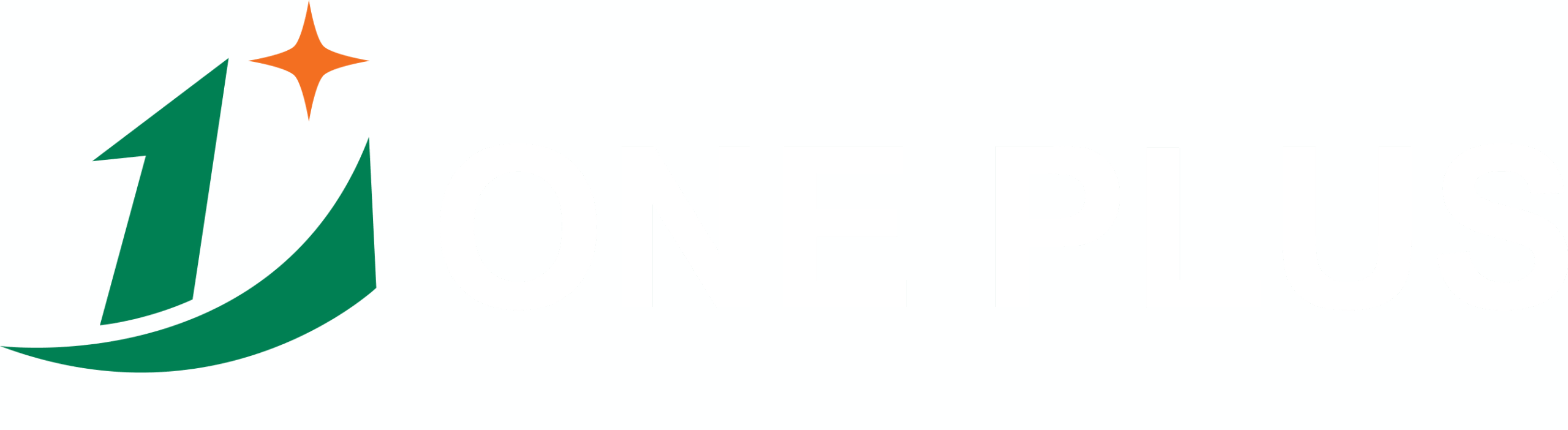 One Plus Piping